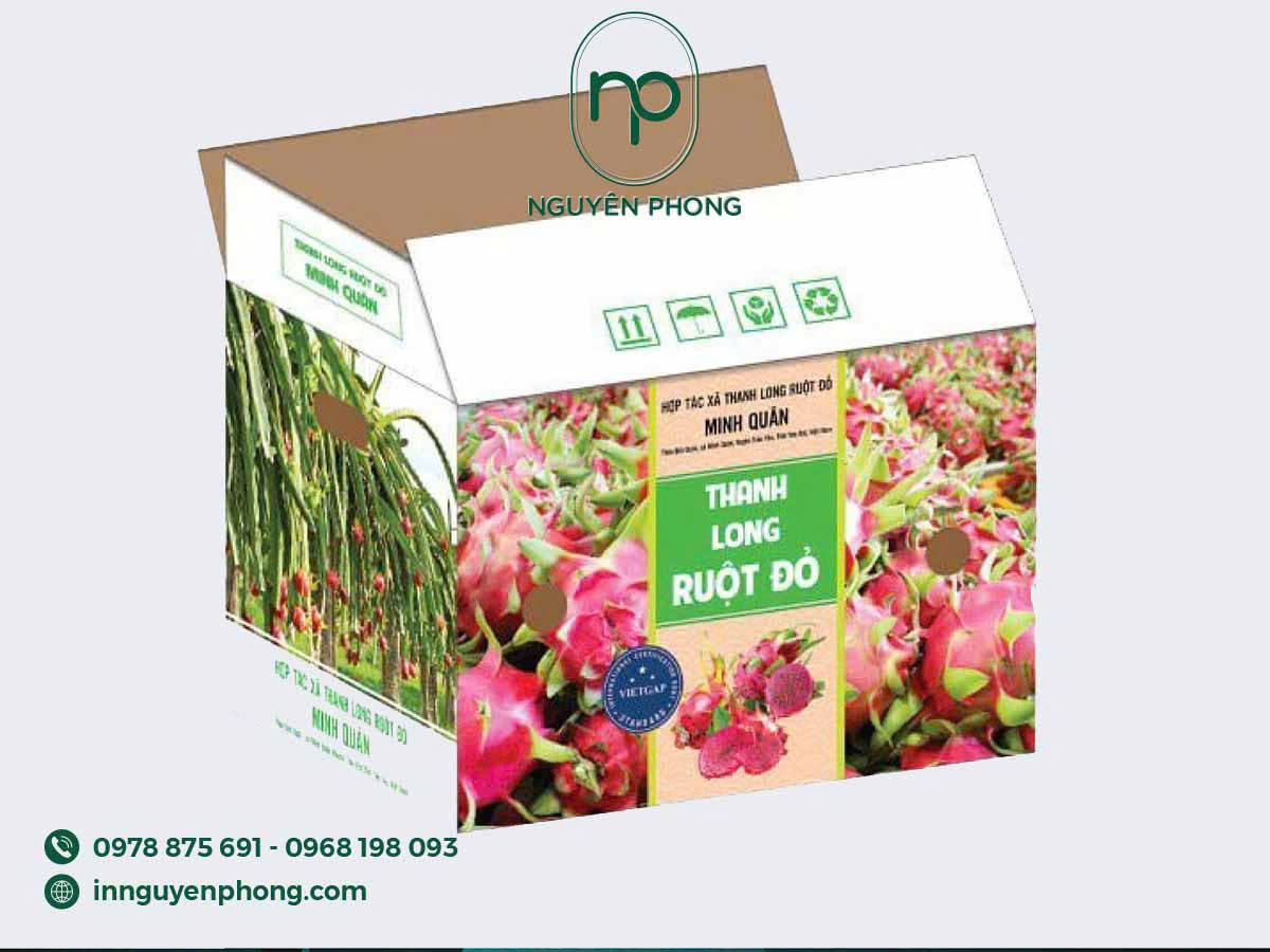 Dịch vụ in hộp carton theo yêu cầu